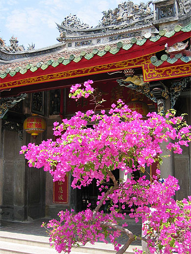 Bougainvillier et temple