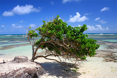 Plage de Bois Jolan