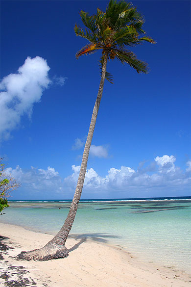 Plage de Bois Jolan