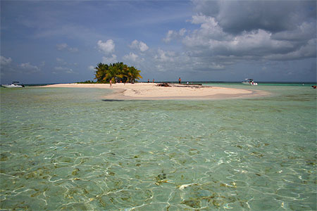 Ilet Caret