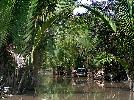 Arroyos de C�n Tho'