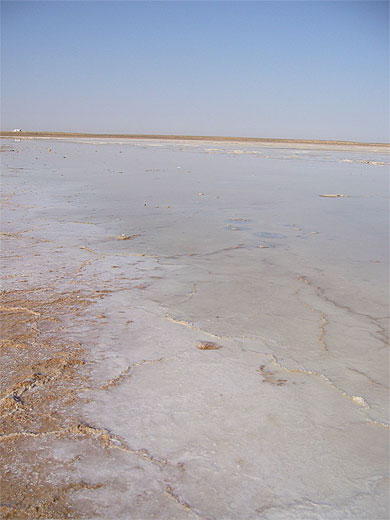 D�sert de sel