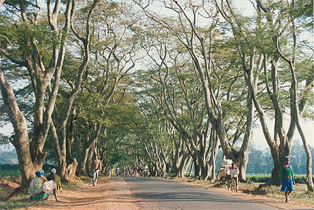 Route 