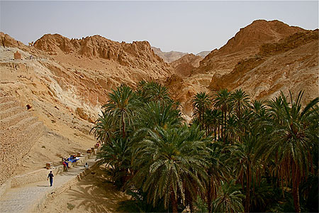 Oasis de Chebika