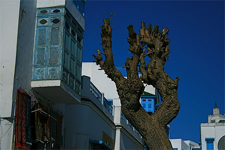 Sidi Bou Said son bleu inimitable