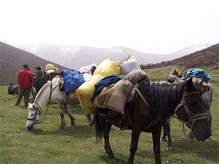 Treck � cheval dans le nord du Sichuan