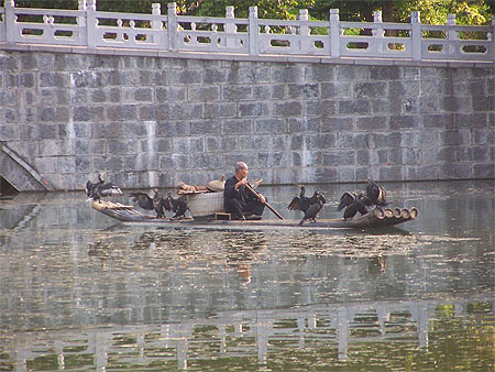 La p�che aux cormorans