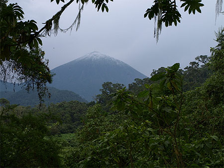 Le sommet enneig� du volcan Karisimbi 
