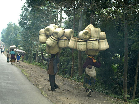Sur la route de Gisenyi vers Ruhengeri