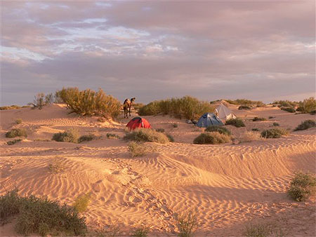 Campement dans le sud Tunisien