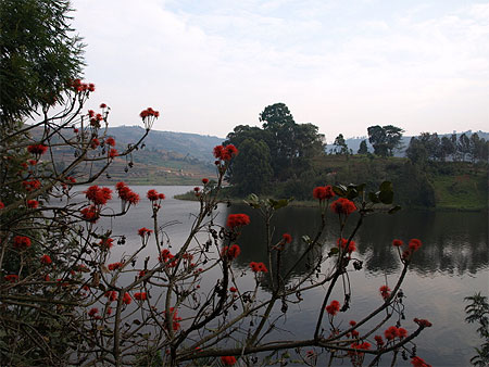 Camper tout pr�s du lac Bunyonyi