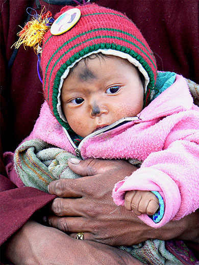 B�b� ladakhi