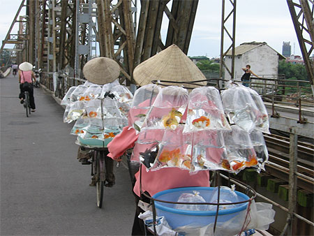 Hanoi "poissons"