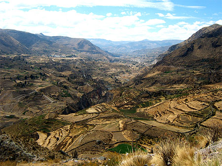 Canyon de colca