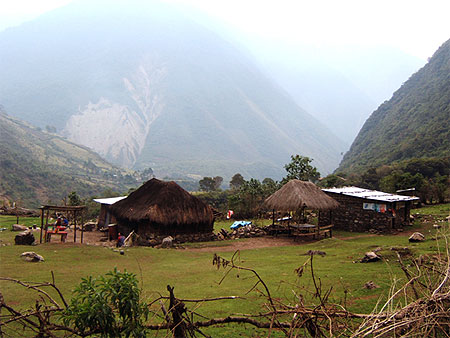 Entr�e dans la haute jungle Yunga