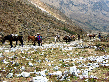 En route pour le Machu Picchu