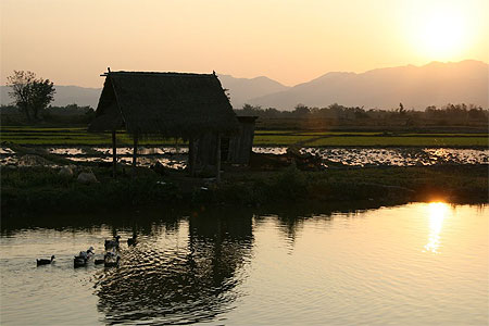 Coucher de soleil sur les rizi�res