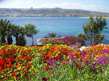 Les jardins du Mellieha Bay Hotel