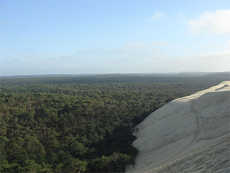 Sommet de la dune du Pilat