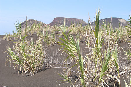 Volcan "dos Capelinhos"