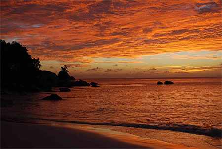 Couleurs incendiaires