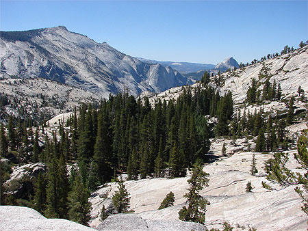 Yosemite national park
