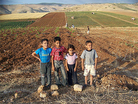 Les enfants dans les champs de Pella