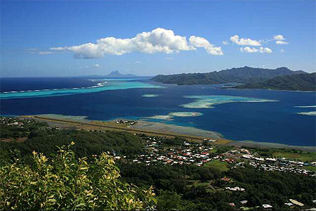 Tahaa 