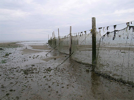 Plage � Saint-Ir�n�e