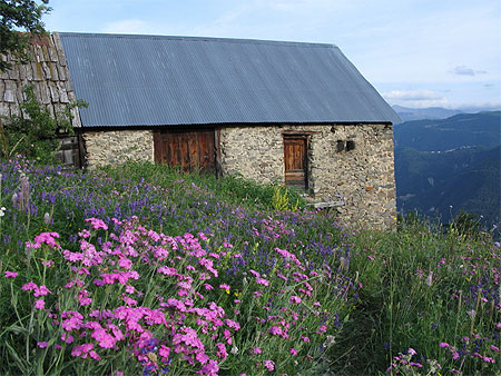 Vue d'un chalet d'alpage pr�s du plan du tenibre