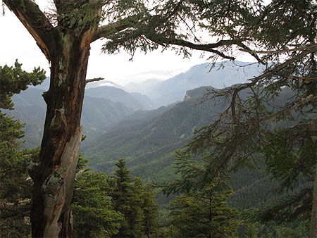 Vue orient�e vers le sud depuis le Tourneret