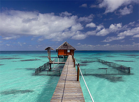 Ferme perli�re dans les Tuamotu