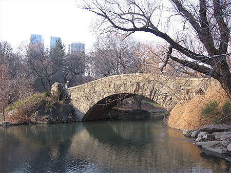 Central park en hiver