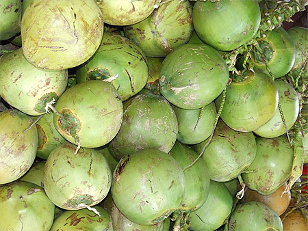 Noix de coco