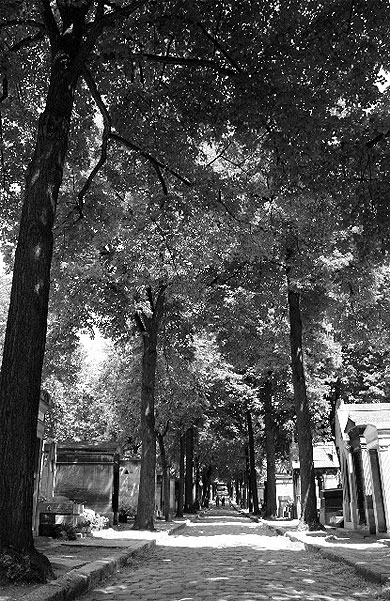 Vue en noir & blanc