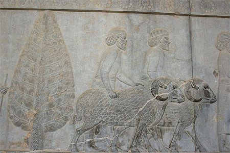 Apadana