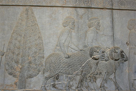 Apadana