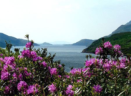 Le seul fjord d'Irlande