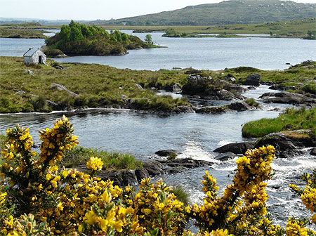 Lacs du Connemara