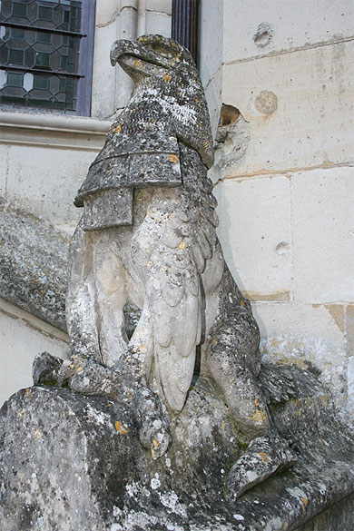 Aigle