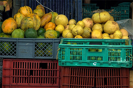 Fruits tropicaux