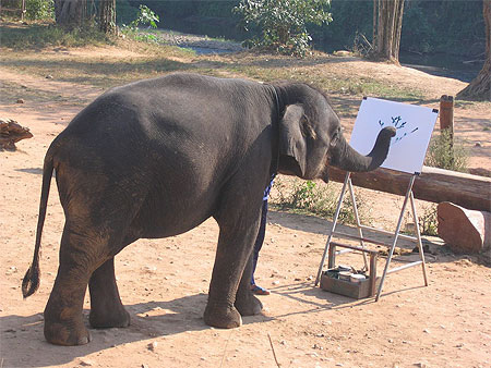 Ferme des �l�phants