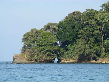 Punta uva