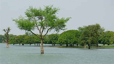 Ressource pr�s de l'eau