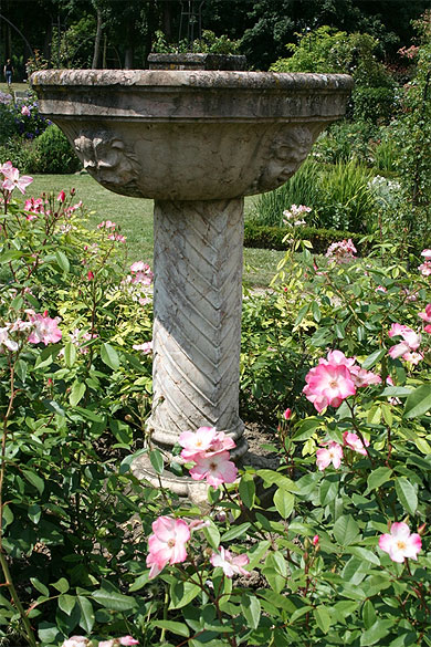Belle roseraie