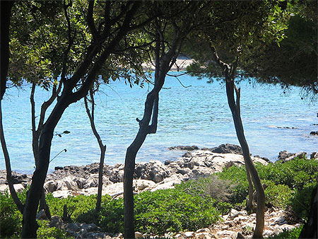 Balade dans la pin�de