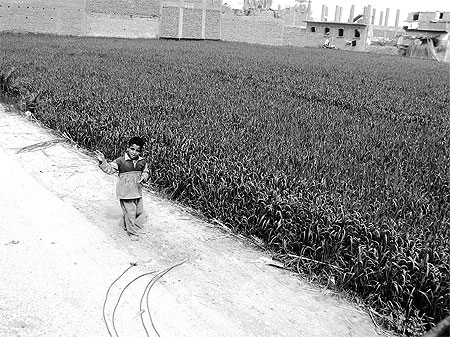 Enfance
