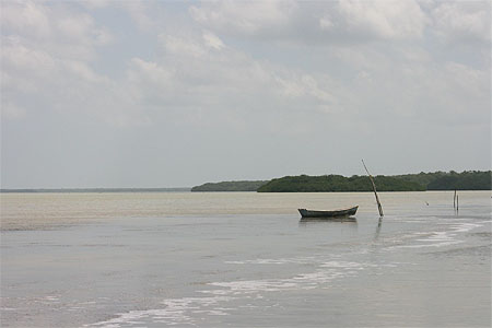 La lagune de Celestun