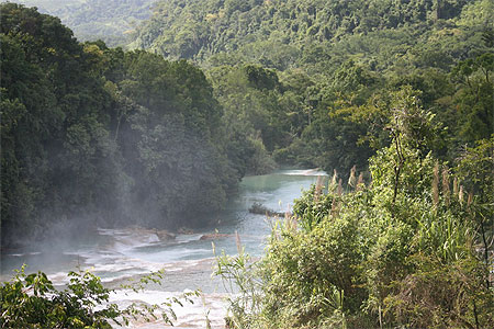 Les chutes d'Agua Azul