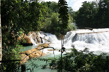 Les chutes d'Agua Azul